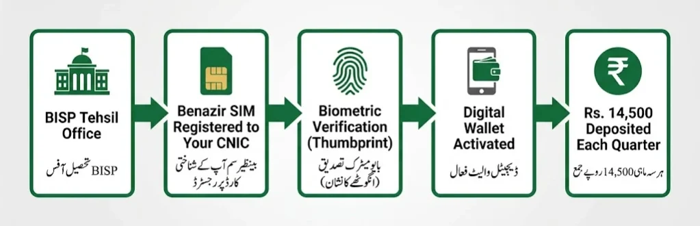 Five-step diagram showing BISP wallet activation from SIM registration and biometric verification to Rs. 14,500 quarterly payment deposit
